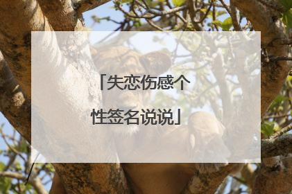 失恋伤感个性签名说说