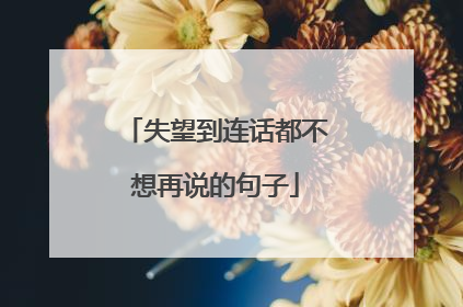 失望到连话都不想再说的句子