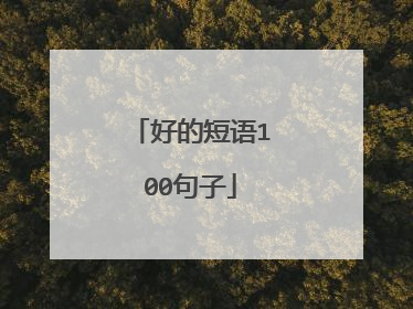 好的短语100句子