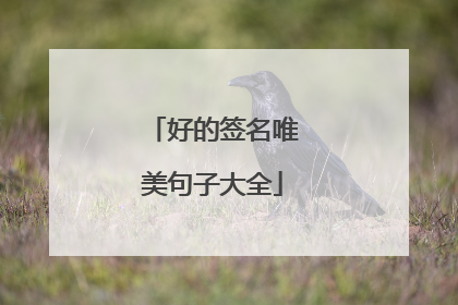 好的签名唯美句子大全