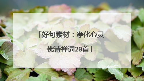 好句素材：净化心灵 佛诗禅词20首