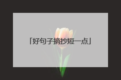 好句子摘抄短一点
