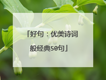 好句：优美诗词般经典50句