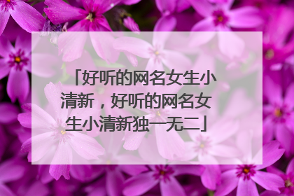 好听的网名女生小清新,好听的网名女生小清新独一无二