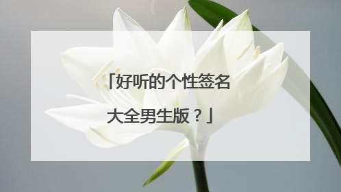好听的个性签名大全男生版？