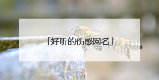 好听的伤感网名
