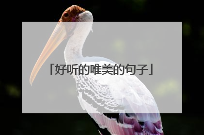 好听的唯美的句子