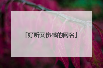 好听又伤感的网名