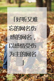 好听又难忘的网名伤感的网名，以感情受伤为主的网名