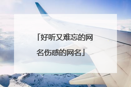 好听又难忘的网名伤感的网名