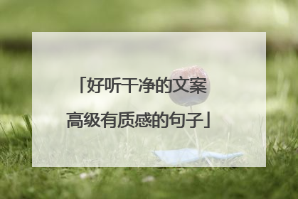 好听干净的文案 高级有质感的句子