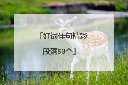 好词佳句精彩段落50个