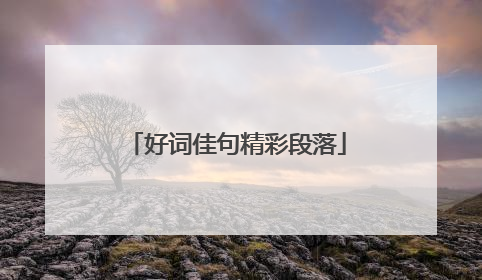 好词佳句精彩段落