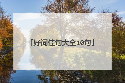 好词佳句大全10句