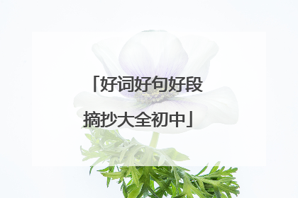 好词好句好段摘抄大全初中