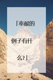 奉献的例子有什么?