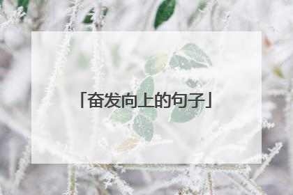 奋发向上的句子
