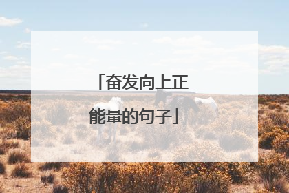 奋发向上正能量的句子