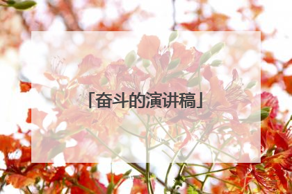 奋斗的演讲稿