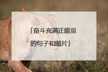 奋斗充满正能量的句子和图片