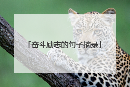 奋斗励志的句子摘录