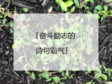 奋斗励志的诗句霸气