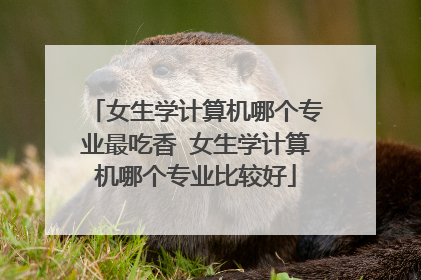 女生学计算机哪个专业最吃香 女生学计算机哪个专业比较好