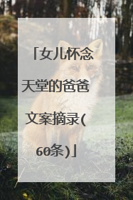 女儿怀念天堂的爸爸文案摘录(60条)