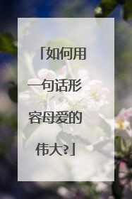 如何用一句话形容母爱的伟大?