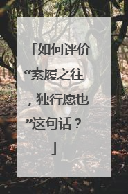 如何评价“素履之往,独行愿也”这句话?