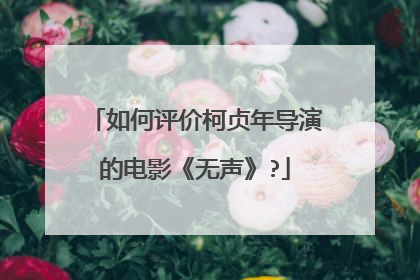 如何评价柯贞年导演的电影《无声》?