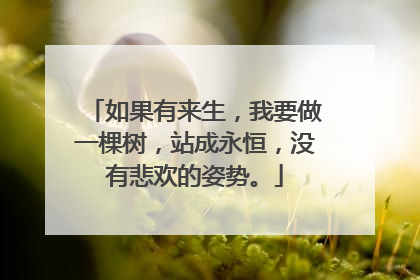 如果有来生,我要做一棵树,站成永恒,没有悲欢的姿势。