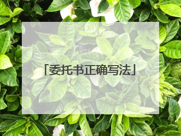 委托书正确写法