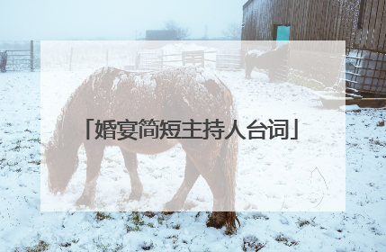 婚宴简短主持人台词