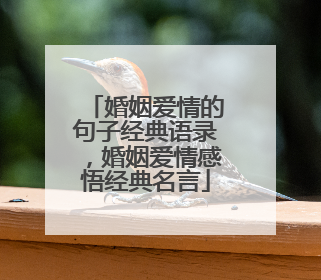 婚姻爱情的句子经典语录，婚姻爱情感悟经典名言
