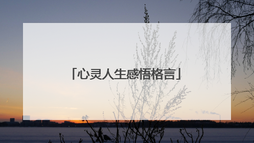 心灵人生感悟格言