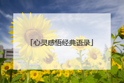 心灵感悟经典语录