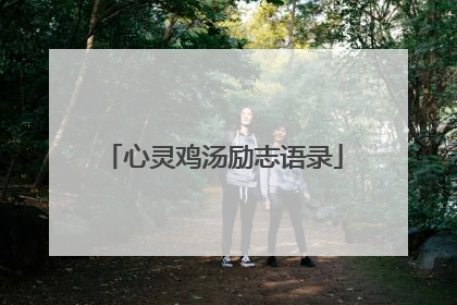 心灵鸡汤励志语录