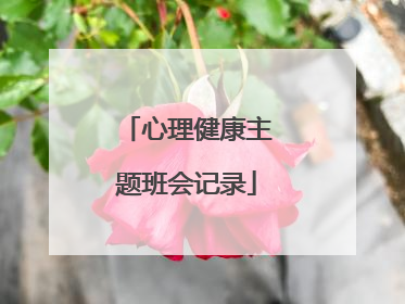 心理健康主题班会记录