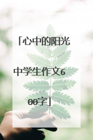 心中的阳光中学生作文600字