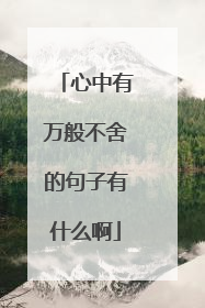 心中有万般不舍的句子有什么啊