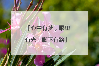 心中有梦，眼里有光，脚下有路