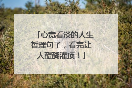 心宽看淡的人生哲理句子,看完让人醍醐灌顶!
