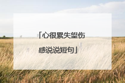 心很累失望伤感说说短句
