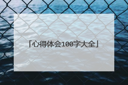 心得体会100字大全