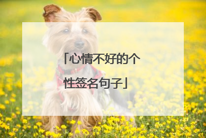 心情不好的个性签名句子