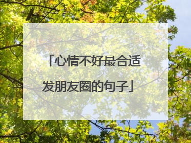 心情不好最合适发朋友圈的句子