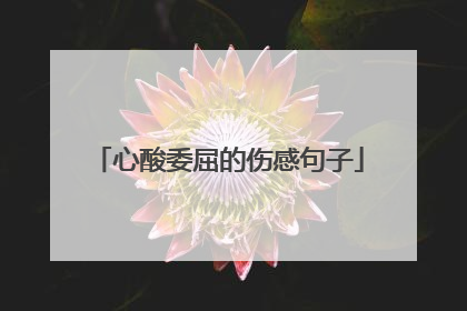 心酸委屈的伤感句子