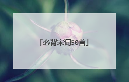 必背宋词50首