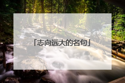 志向远大的名句